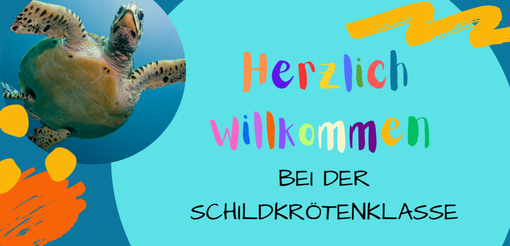 Startgrafik Klassentiere Schildkröte