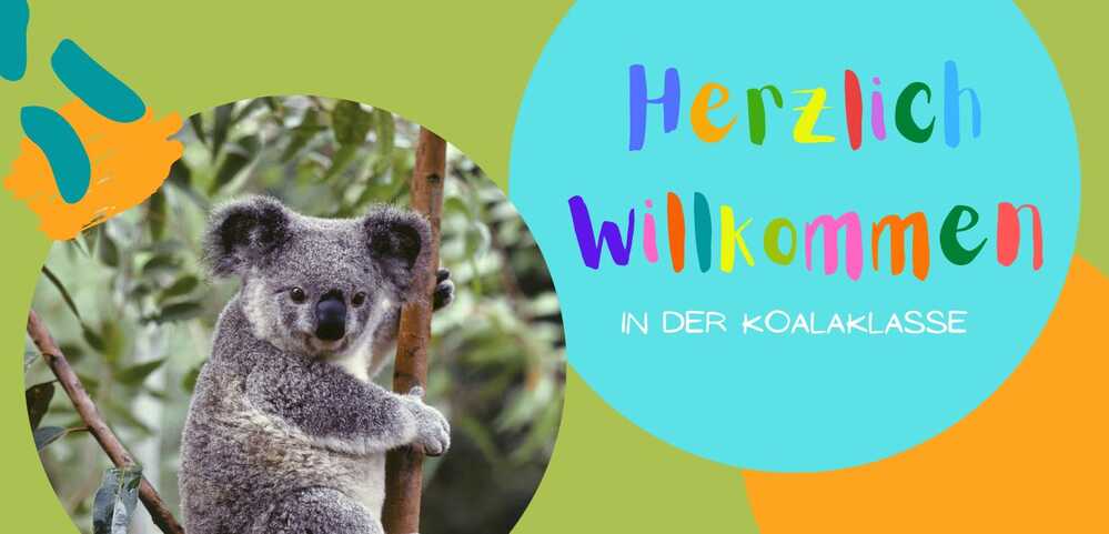 Koalaklasse Startbild