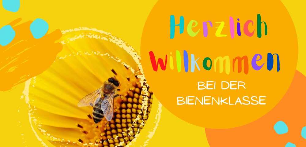 Startbild Bienenklasse