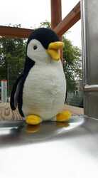 Pinguin Klettergerüst