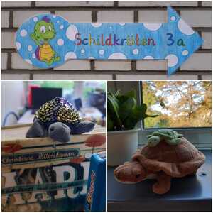 Start als Schildkröten (1)