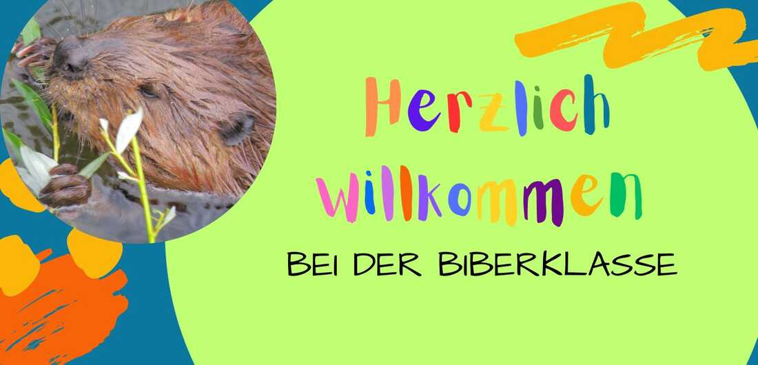 Startgrafik Klassentiere (1)
