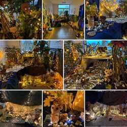 2EFD00B9-BEAA-4679-BB16-23EEC2EEAA4A 2EFD00B9-BEAA-4679-BB16-23EEC2EEAA4A