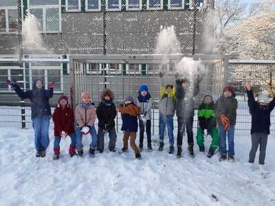 Schildkröten im Schnee (2)