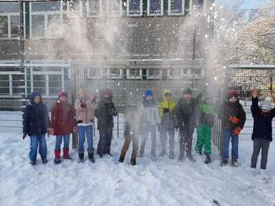 Schildkröten im Schnee (3)