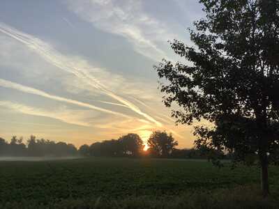 Septembermorgen (1)