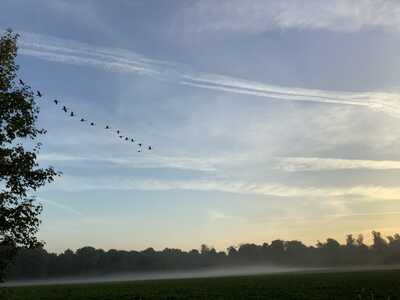 Septembermorgen (2)