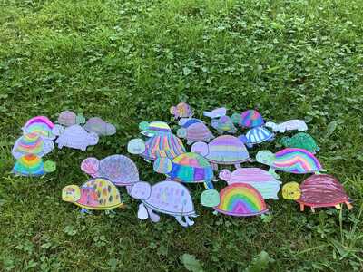 Viele Schildkröten (1)